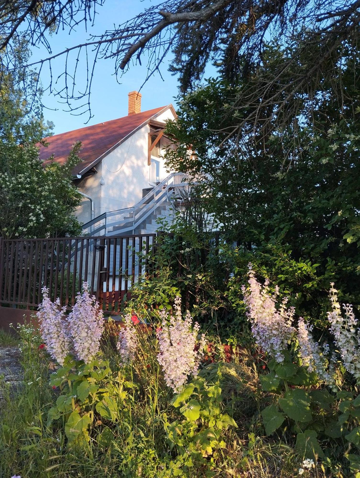 Thefi Vendégház Apartamento Zánka Exterior foto